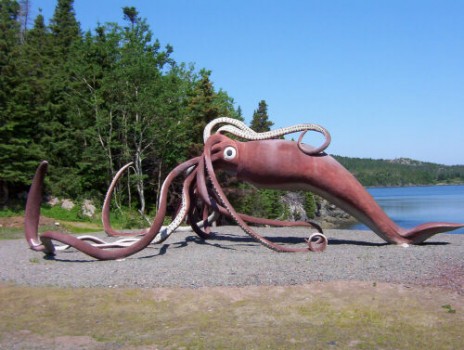 cephalopodic.jpg