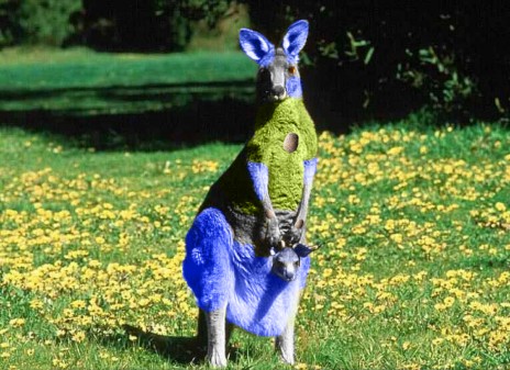 Pokemon_ps_1_lucario___rio.jpg