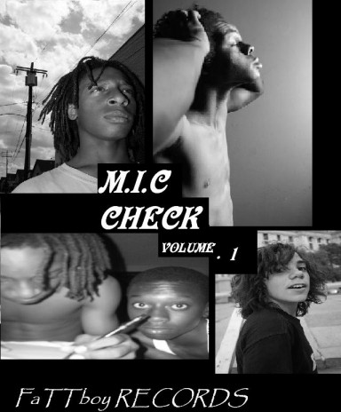 MIC_CHEACK.JPG
