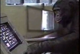 monkey_gaming.jpg