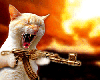 758231.gif