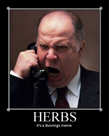 Herbs.jpg