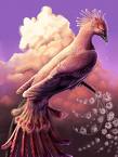 suru_phoenix.jpg