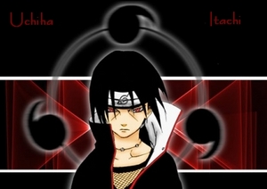 Banner_1_.jpg