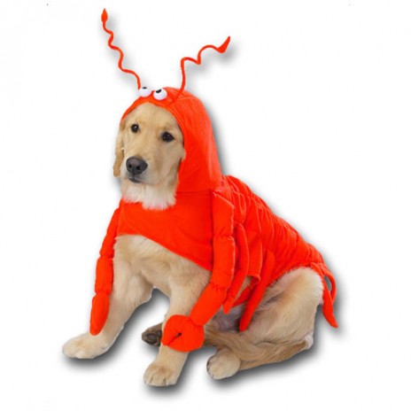 lobster.jpg