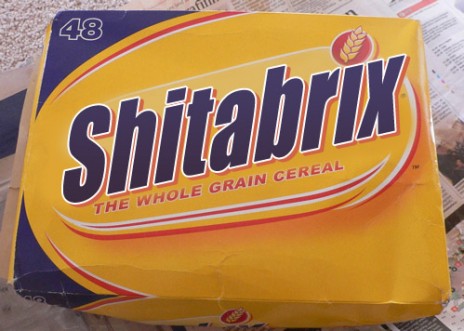 shitabrix.jpg