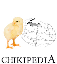 chickipedia.jpg
