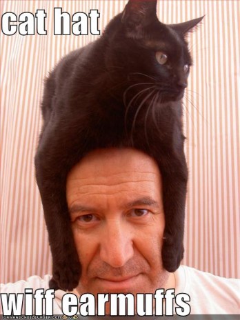 funny_pictures_cat_hat_hea.jpg