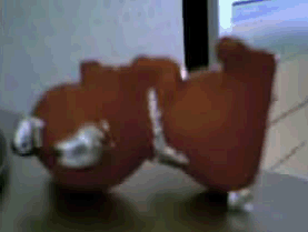 redBear.gif