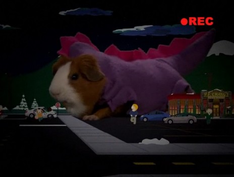 guinea.jpg