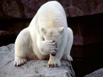 polar_bear_face_palm_thumb.jpg