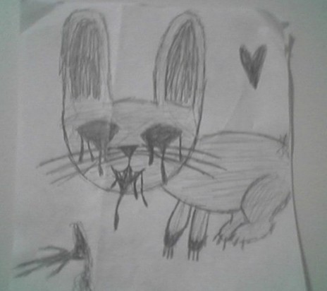 bunny.jpg