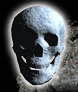 skull_lft.gif