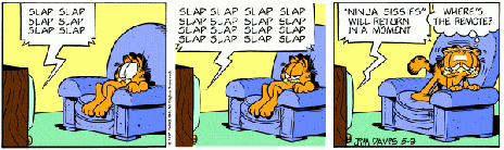 Garfield_Ninja_Sissies.gif