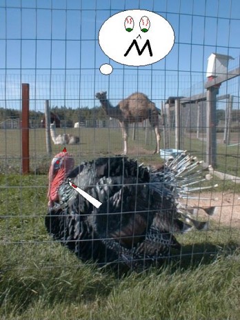 Evil_Turkey.jpg