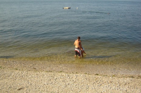 204090672.jpg