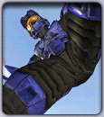halo_teabag.gif