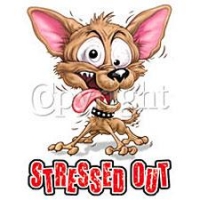 sressed_out.jpg