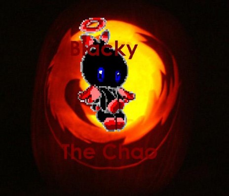 blacky_the_chao.JPG